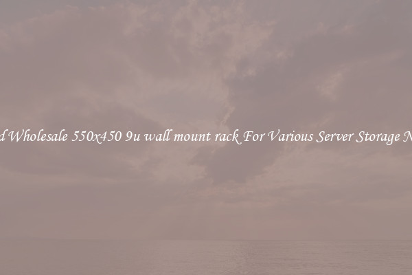 Solid Wholesale 550x450 9u wall mount rack For Various Server Storage Needs