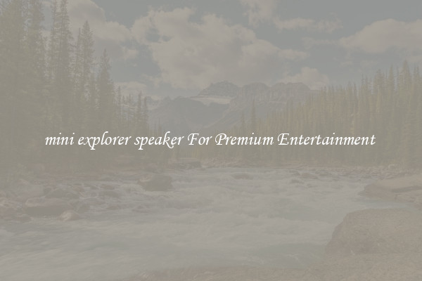 mini explorer speaker For Premium Entertainment 