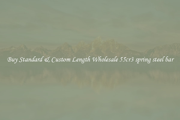Buy Standard & Custom Length Wholesale 55cr3 spring steel bar