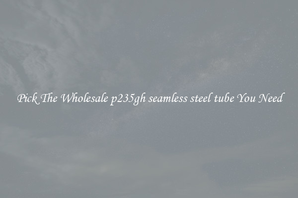 Pick The Wholesale p235gh seamless steel tube You Need