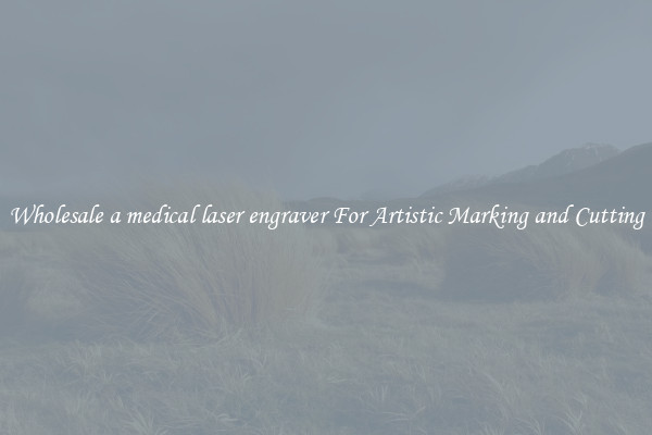 Wholesale a medical laser engraver For Artistic Marking and Cutting