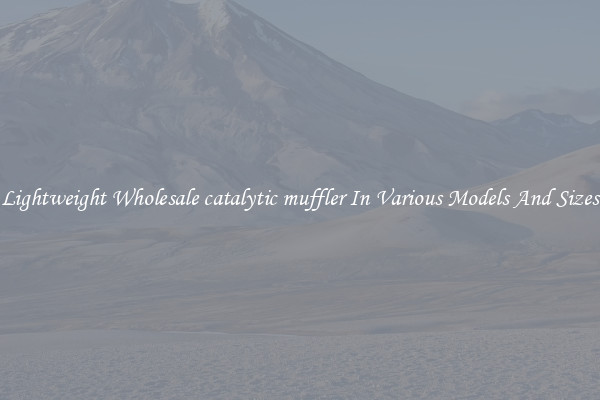 Lightweight Wholesale catalytic muffler In Various Models And Sizes
