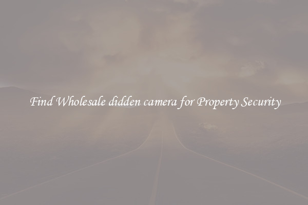 Find Wholesale didden camera for Property Security