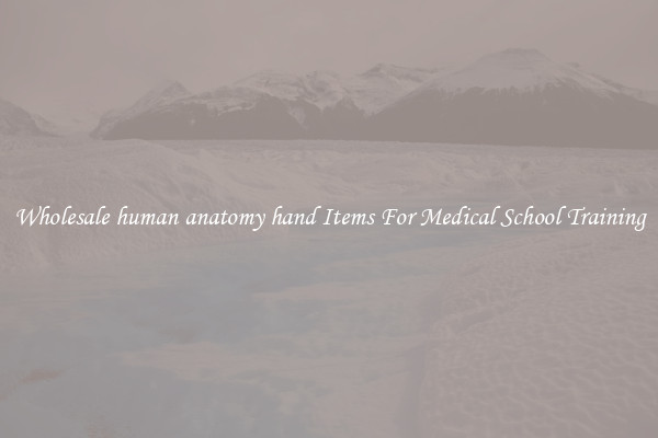 Wholesale human anatomy hand Items For Medical School Training