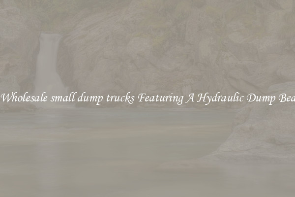 Wholesale small dump trucks Featuring A Hydraulic Dump Bed