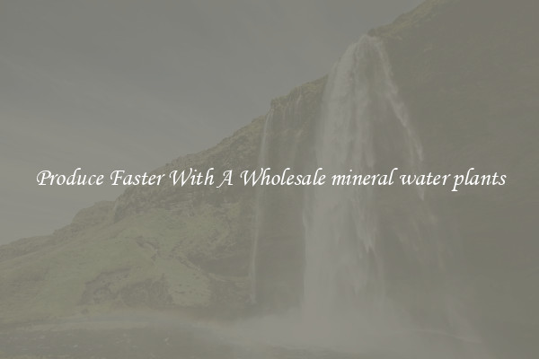 Produce Faster With A Wholesale mineral water plants