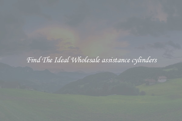 Find The Ideal Wholesale assistance cylinders