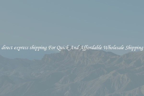 direct express shipping For Quick And Affordable Wholesale Shipping