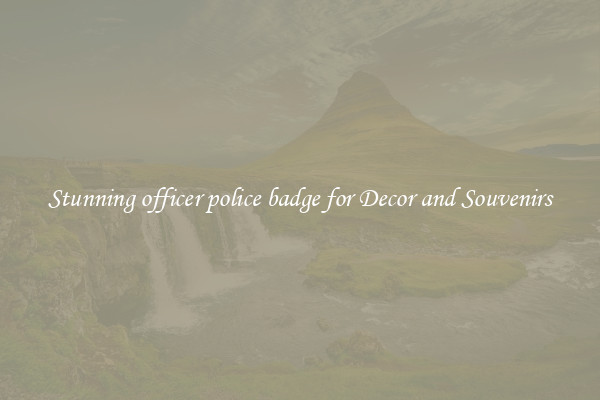 Stunning officer police badge for Decor and Souvenirs