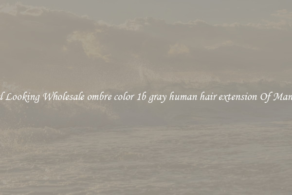 Natural Looking Wholesale ombre color 1b gray human hair extension Of Many Types