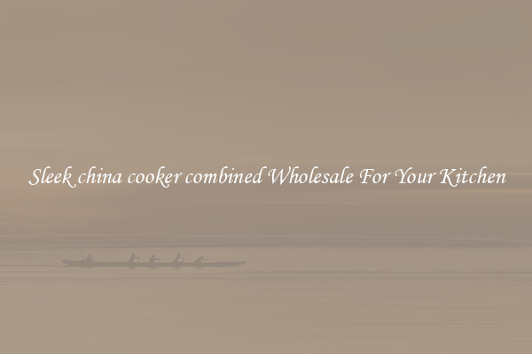 Sleek china cooker combined Wholesale For Your Kitchen