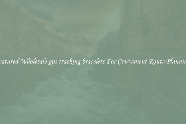 Featured Wholesale gps tracking bracelets For Convenient Route Planning 