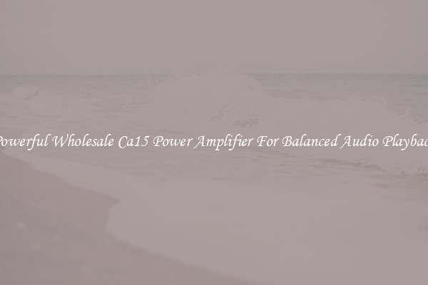 Powerful Wholesale Ca15 Power Amplifier For Balanced Audio Playback