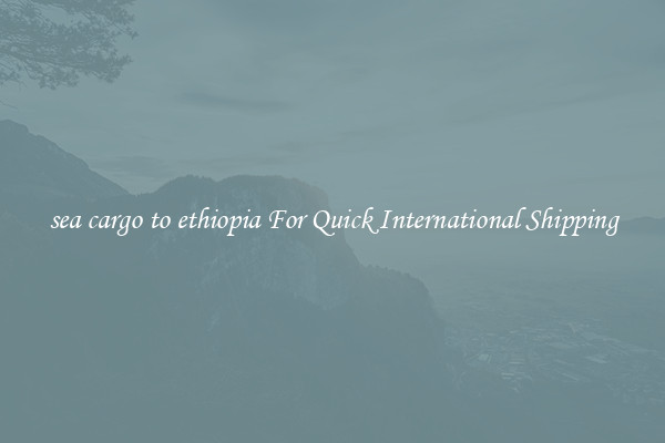 sea cargo to ethiopia For Quick International Shipping
