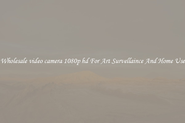 Wholesale video camera 1080p hd For Art Survellaince And Home Use