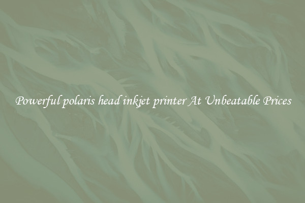 Powerful polaris head inkjet printer At Unbeatable Prices