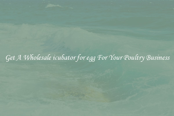 Get A Wholesale icubator for egg For Your Poultry Business