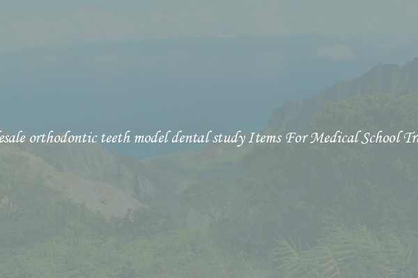 Wholesale orthodontic teeth model dental study Items For Medical School Training