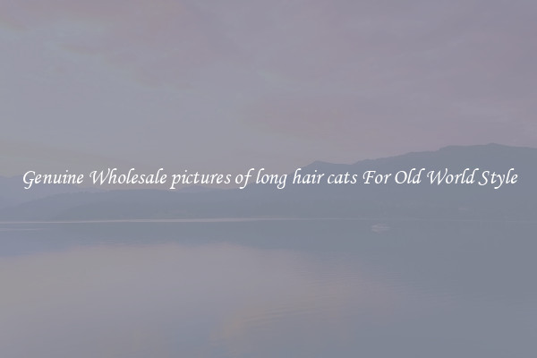 Genuine Wholesale pictures of long hair cats For Old World Style