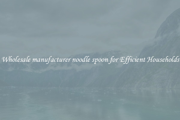 Wholesale manufacturer noodle spoon for Efficient Households