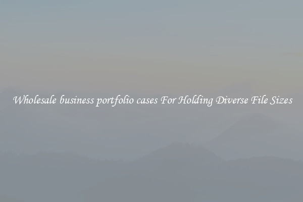 Wholesale business portfolio cases For Holding Diverse File Sizes