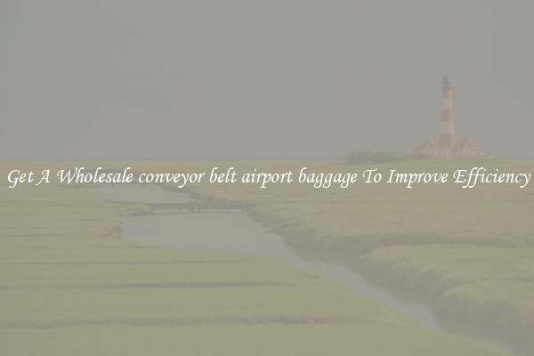 Get A Wholesale conveyor belt airport baggage To Improve Efficiency
