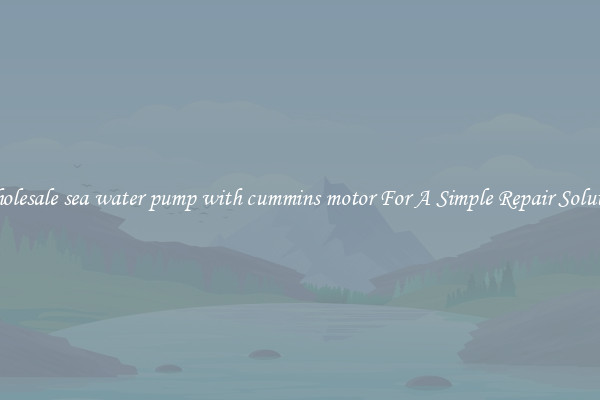 Wholesale sea water pump with cummins motor For A Simple Repair Solution
