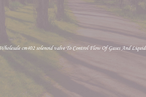 Wholesale cm402 solenoid valve To Control Flow Of Gases And Liquids