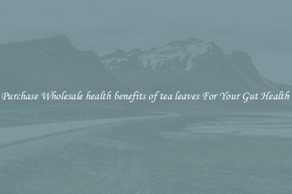 Purchase Wholesale health benefits of tea leaves For Your Gut Health 